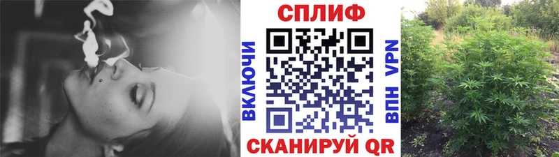 Каннабис сатива  где можно купить   Майский 